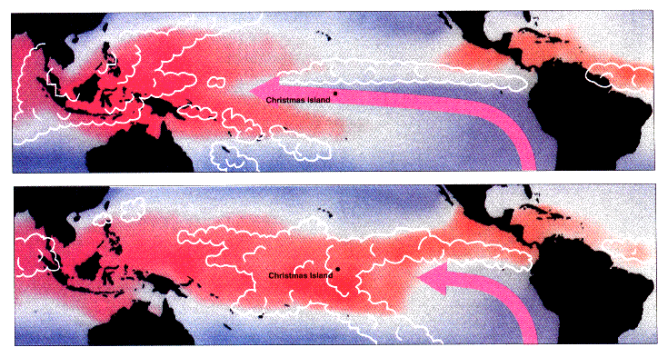 Rain and easterly winds during normal and El Ni&ntildeo years